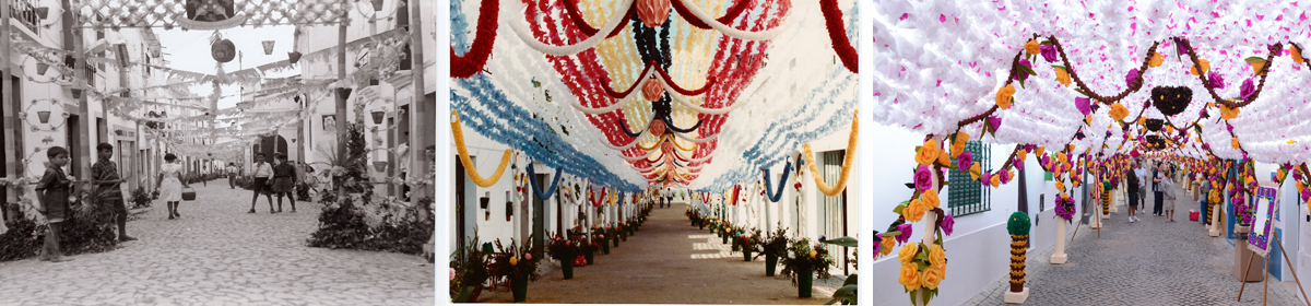 Tradição Centenária